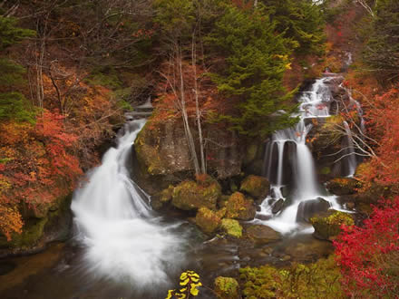 Waterfalls and maple leaves